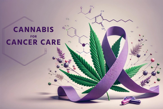CBD and THC: A Synergistic Approach in Cancer Care