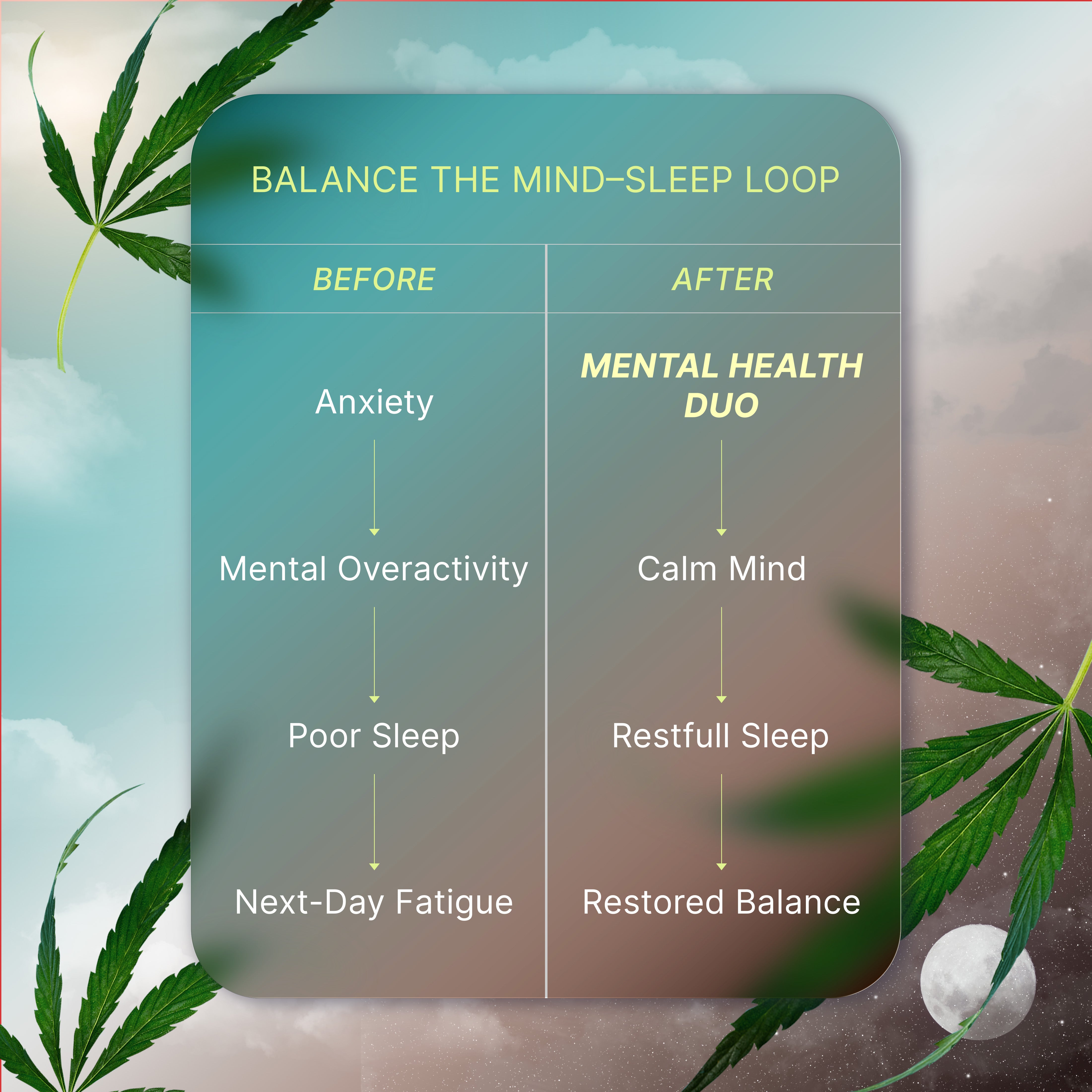 Mental Health Duo | Rx