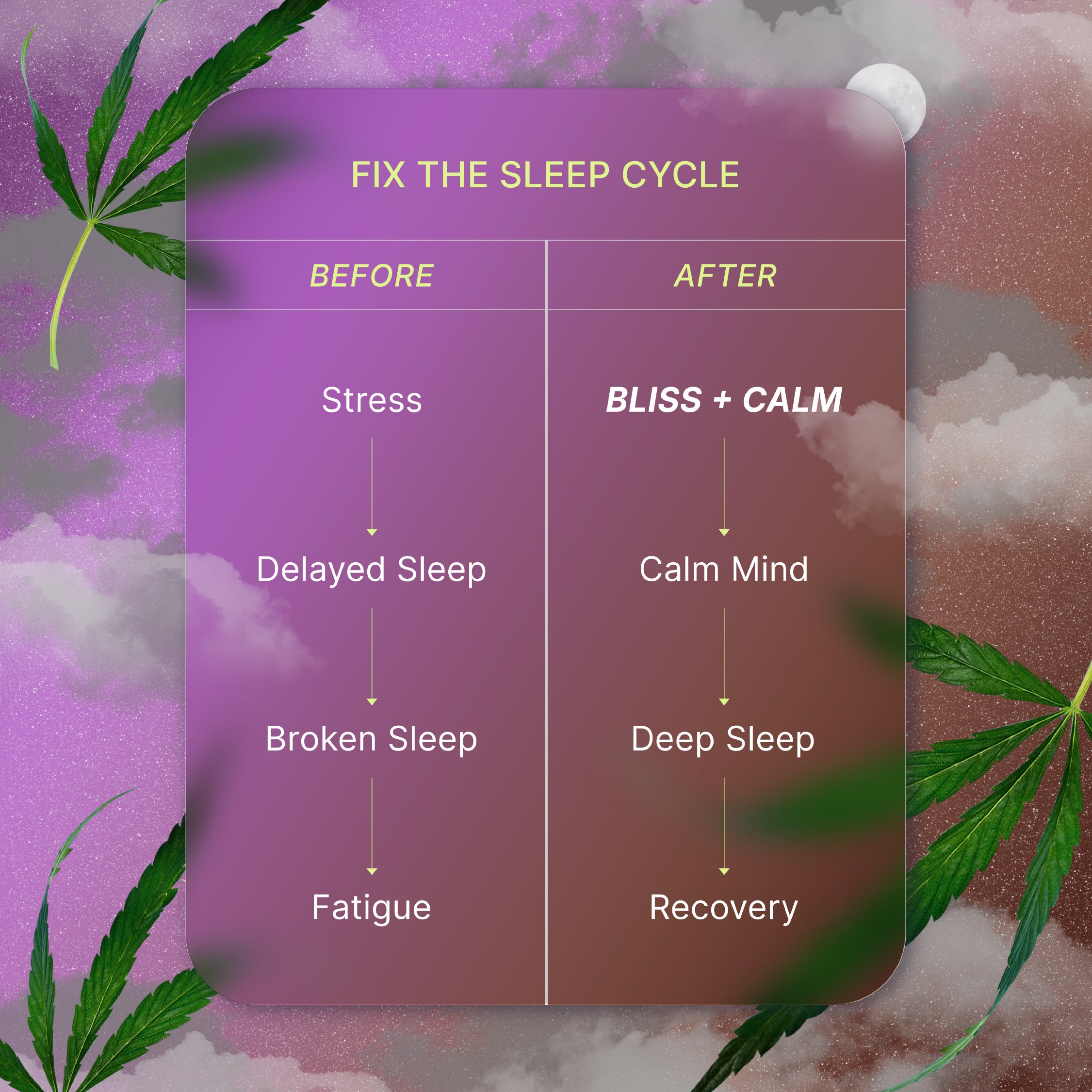 Sleep Well Duo | Rx