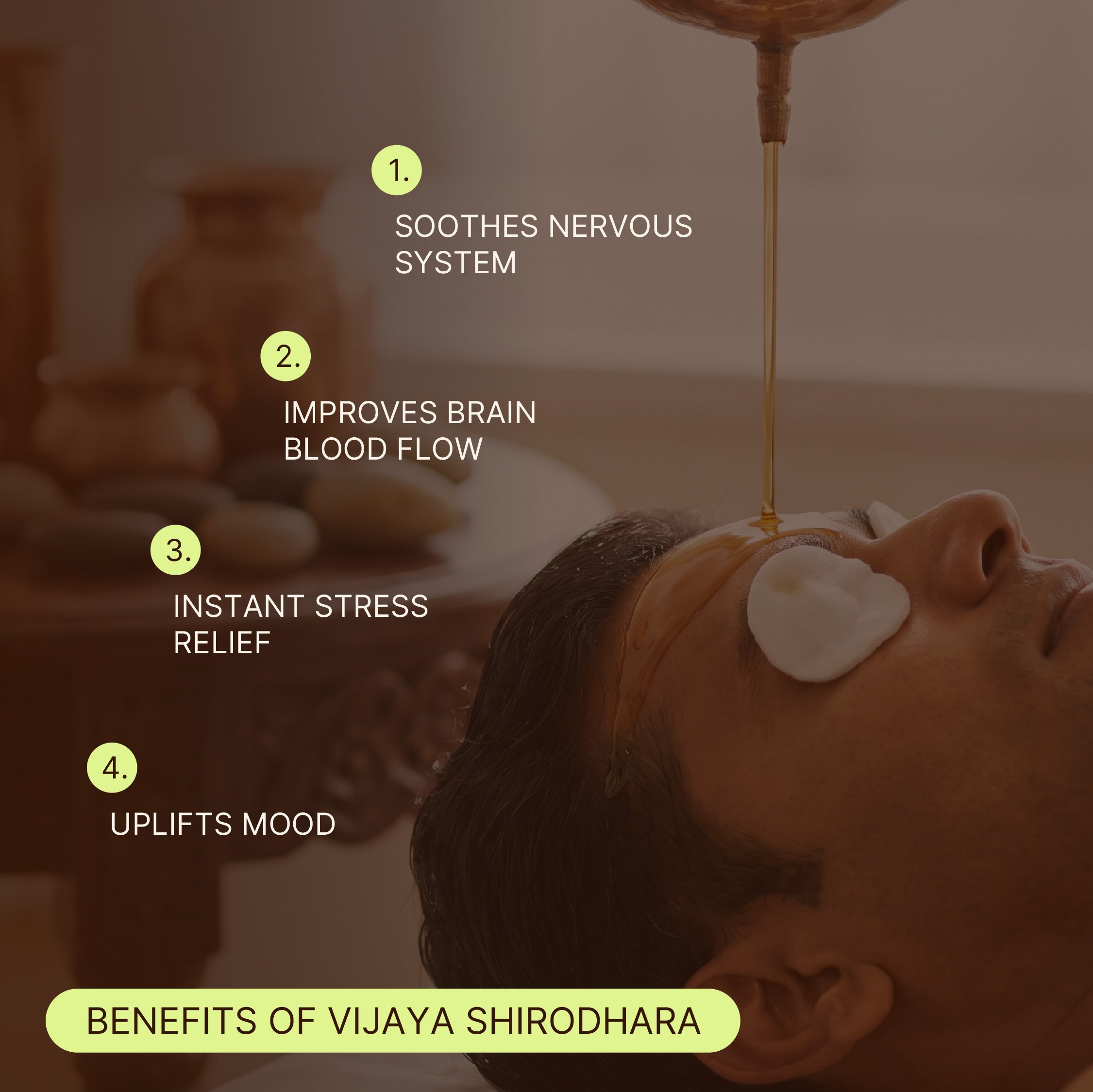 Ayurvedic Vijaya Therapies