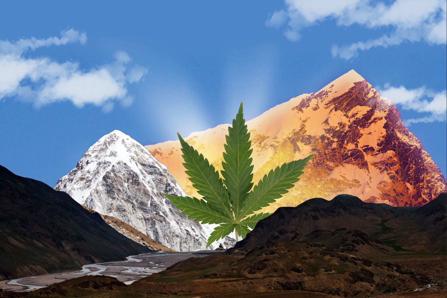 The Healer from the Hills:</br>The Lore and Life of Cannabis
