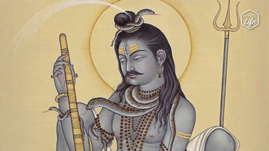 Shiva & Cannabis - The Divine Journey of the Miracle Plant