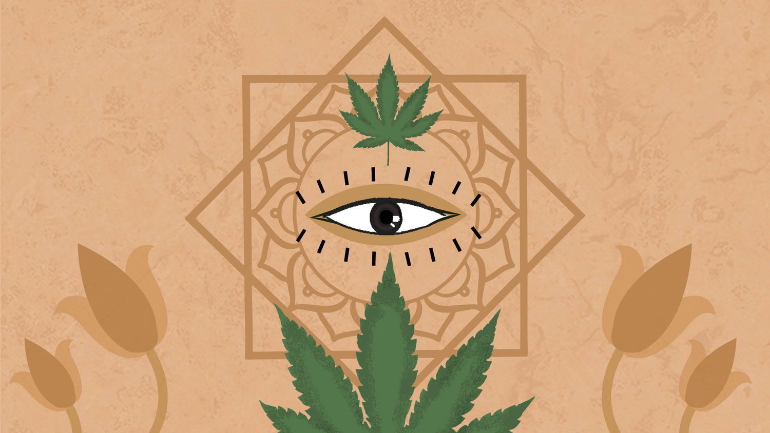 Demystifying the Mystical Herb – Hemp
