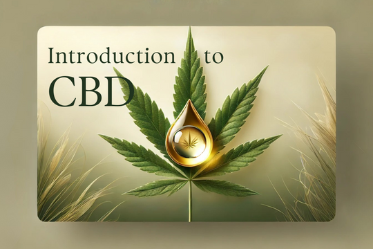 Introduction to CBD: Understanding the Basics and Its Growing Appeal