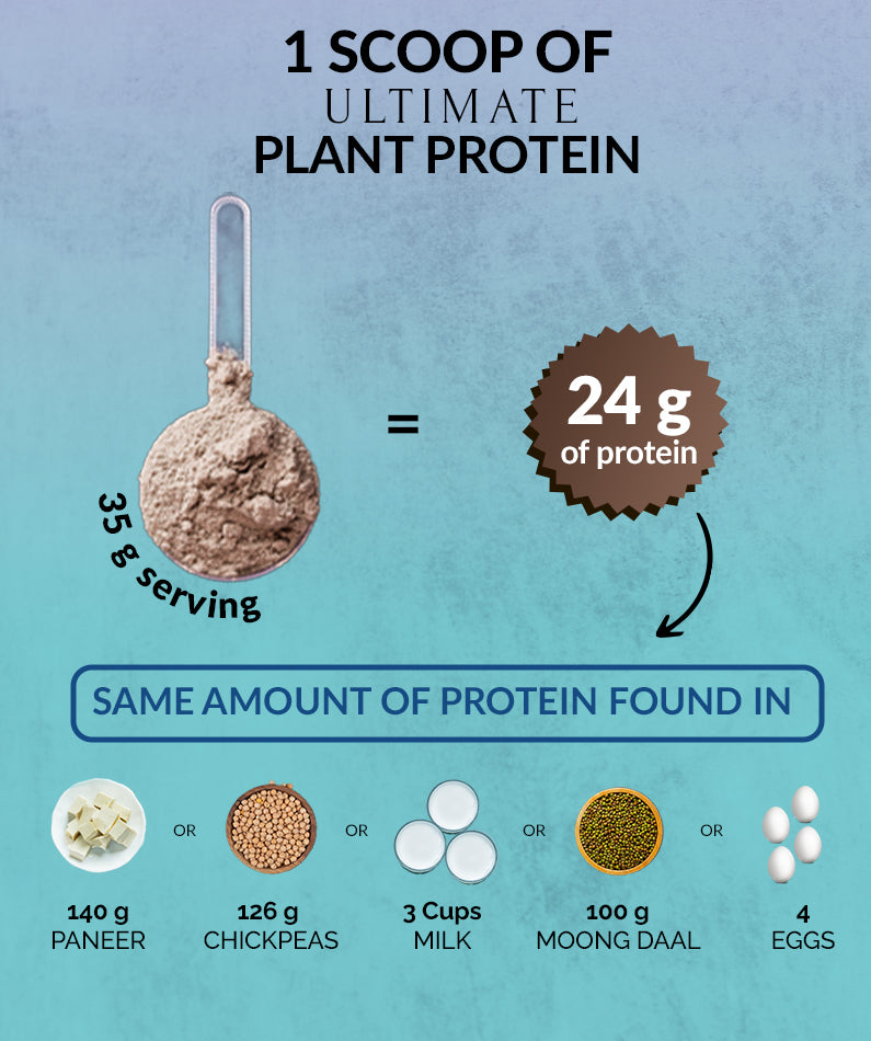 Ultimate Plant Protein - Blended Protein Powder | 490g