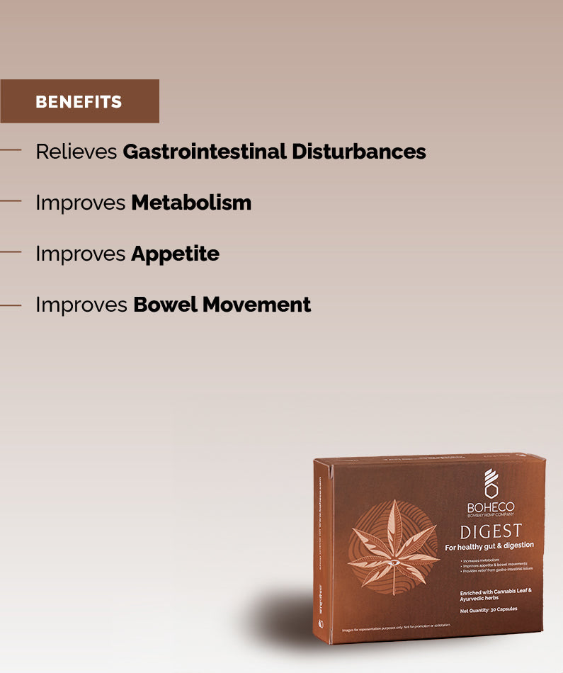 DIGEST - 30 Capsules