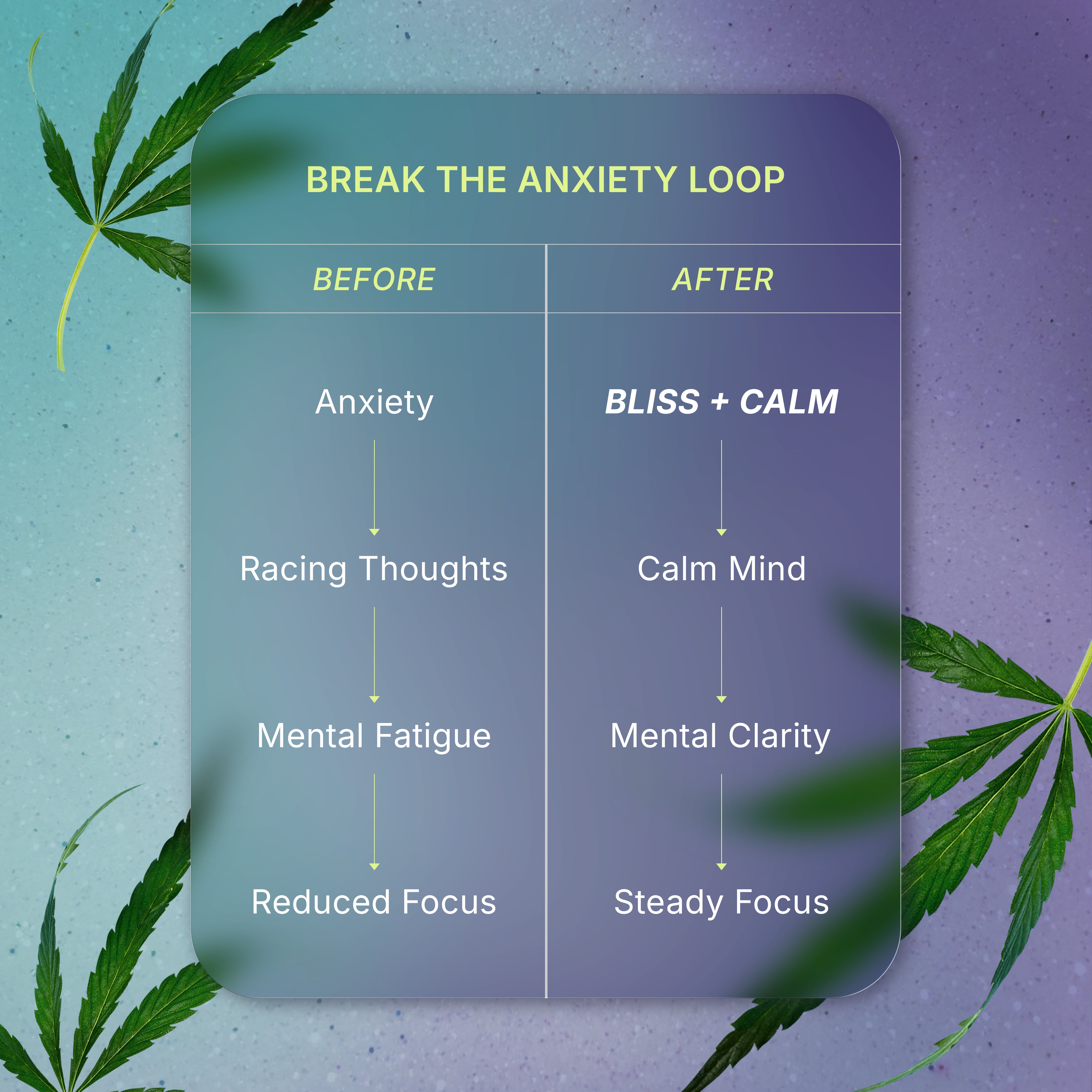 Anxiety Relief Duo