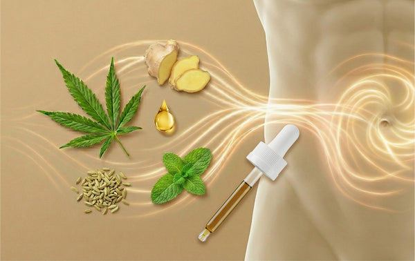 Benefits of Hemp Seed Oil