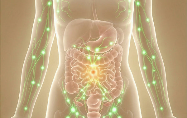Navel & Digestion