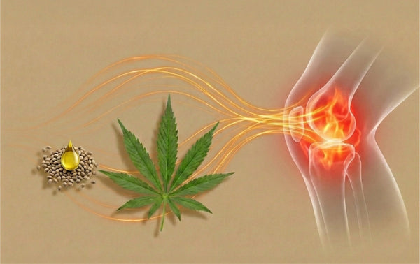 The Synergy of Nature & Science