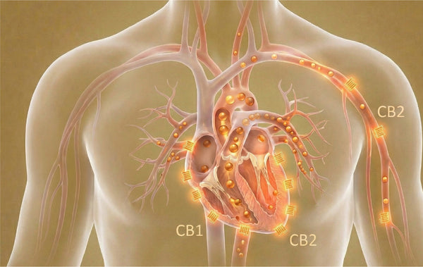 The Power of <br>Edestin Protein
