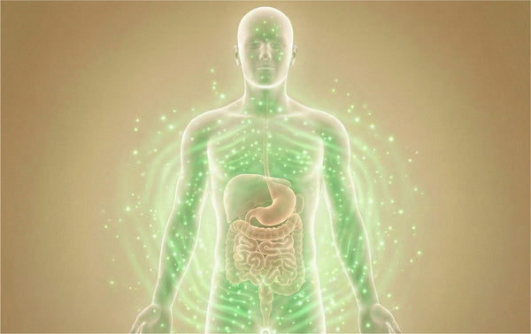 Essential Fatty Acids & Body Balance