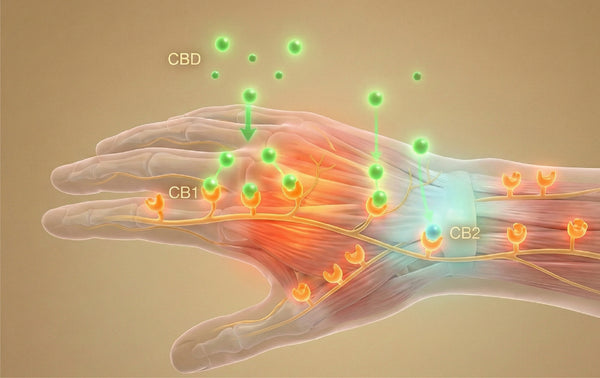 How PRISTINE Interacts with the ECS