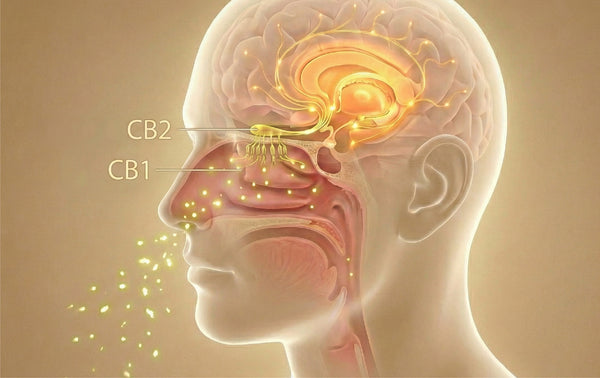 The Role of Essential Oils