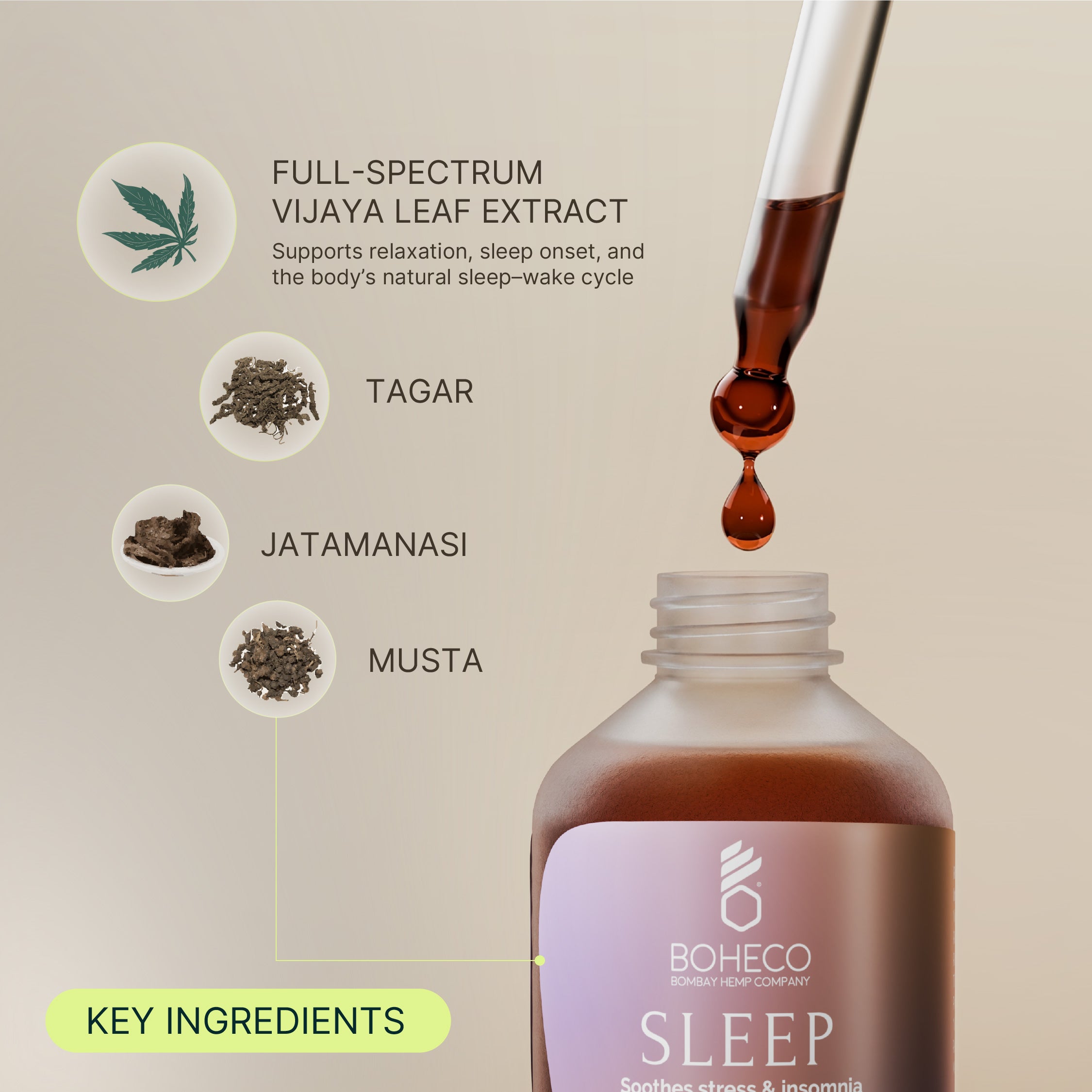 SLEEP | Rx