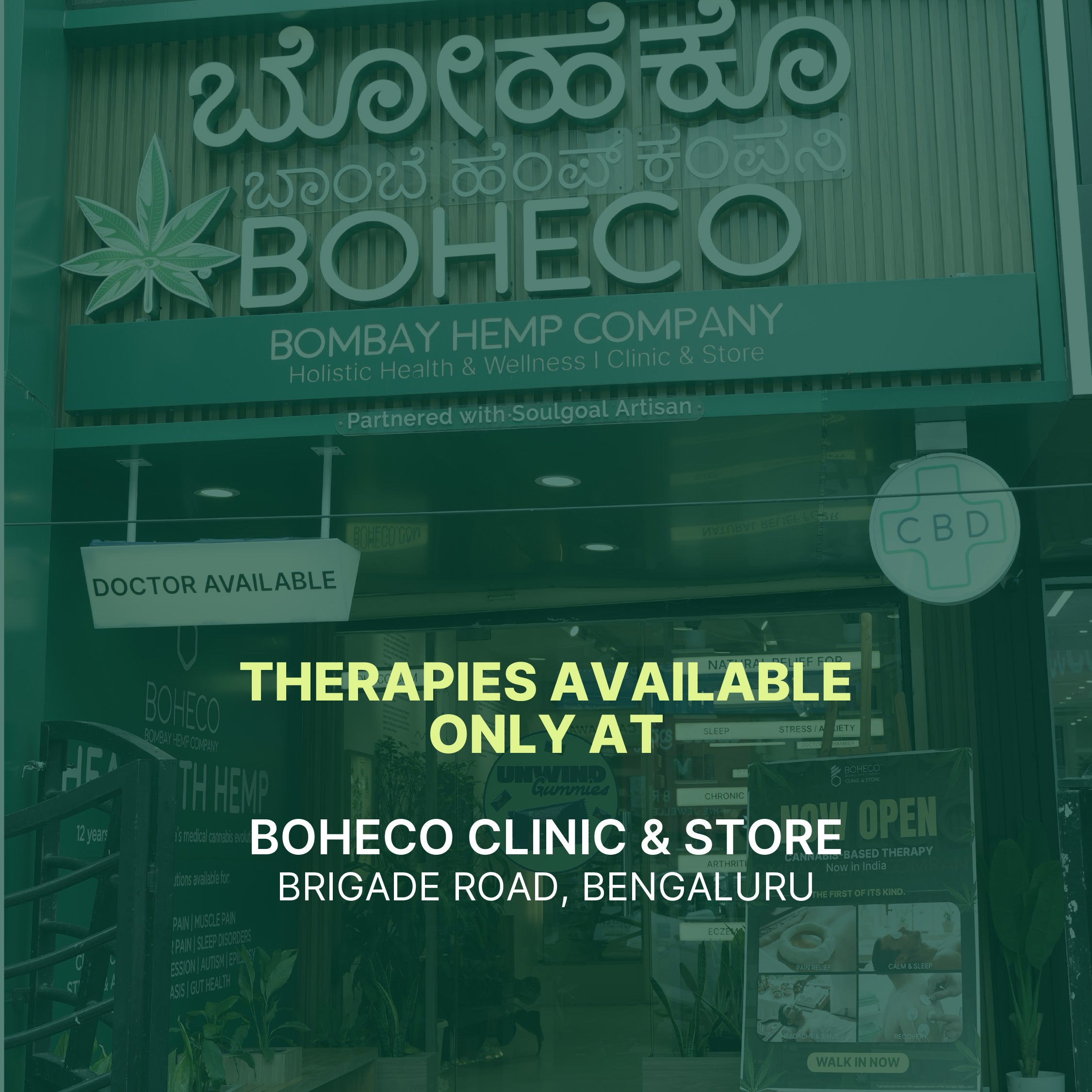 Ayurvedic Vijaya Therapies