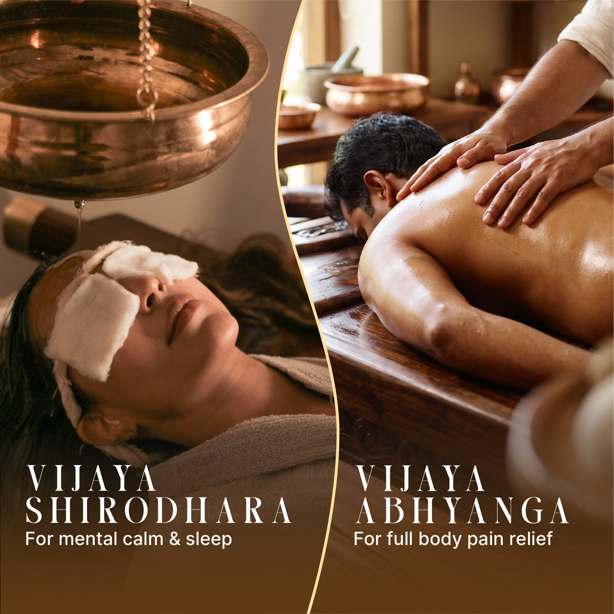 Ayurvedic Vijaya Therapies